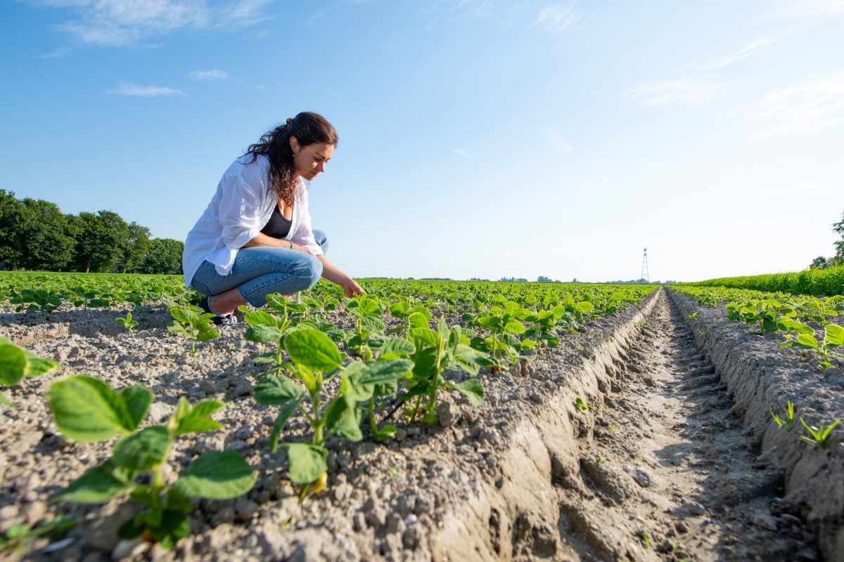3 mannen die in een afspraak hebben. De voorste man heeft een tablet waarop notities worden geschreven
